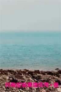 林稚笙裴霖晟结局+番外