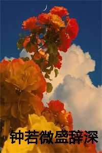 钟若微盛辞深