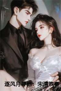 逐风月寻他:宋清欢秦时臻结局