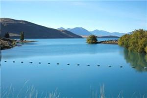 真千金溺亡大海后,全家后悔了