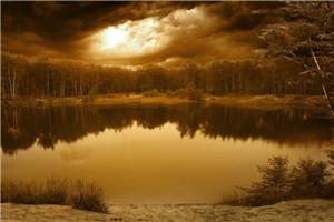 自愿堕入魔窟后,战神为我杀疯了现已上架