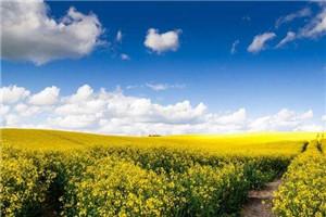 刚分手就黑化,小奶狗你干嘛