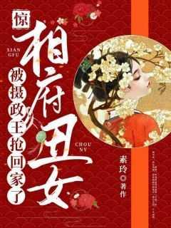 惊!相府丑女被摄政王抢回家了