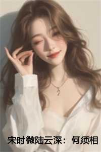 宋时微陆云深:何须相思煮余年