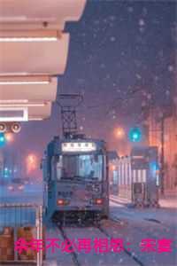 余年不必再相思:宋宴泽全文+后续