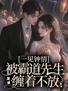 一见钟情,被霸道先生缠着不放