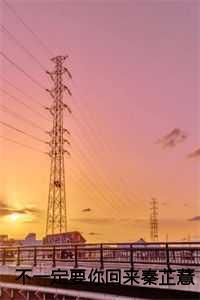 不一定要你回来秦芷薏邵浔辞:结局+番外