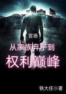 官场:从家族弃子到权利巅峰