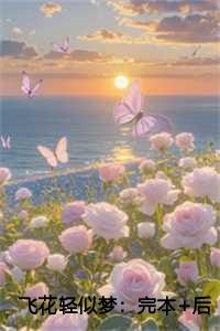 飞花轻似梦:完本+后续