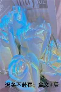 迟冬不赴春：全文+后续+结局