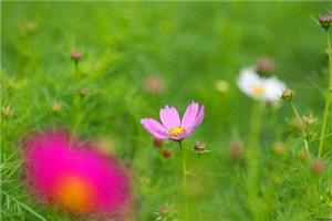 开局修仙：从废材开始一路无敌