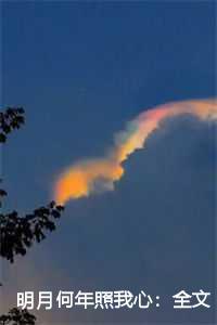 明月何年照我心:全文+后续