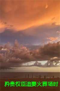 矜贵权臣追妻火葬场时,我已入宫封后:结局+番外