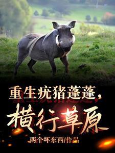 草原装杯如风,唯我疣猪蓬蓬