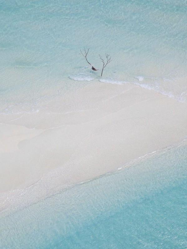 我死后,青梅竹马为我手刃仇人