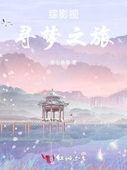 综影视,寻梦之旅