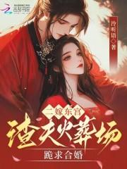 二嫁东宫:渣夫火葬场跪求合婚