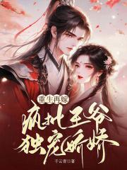 重生再嫁,疯批王爷独宠娇娇