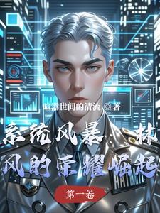系统风暴:林风的荣耀崛起