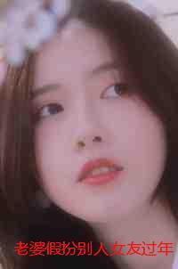 老婆假扮别人女友过年:结局+番外