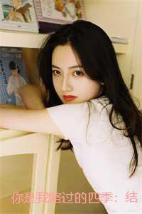 你是我路过的四季:结局+番外