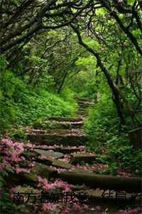 南方若知我意：结局+番外，谢瑶裴瑾南