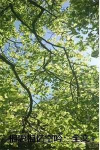 相思相忆空吟：全文+结局+番外，林暖之陆祁景