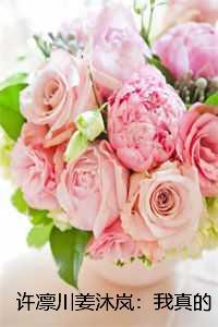 许凛川姜沐岚：我真的陪他淋过大雨：全章节+结局+畅读