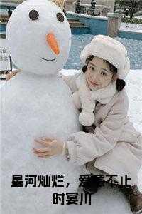 星河灿烂,爱意不止时宴川免费