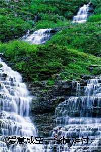 爱意成空，深情难付：全文+结局+番外，苏疑凌羽沫