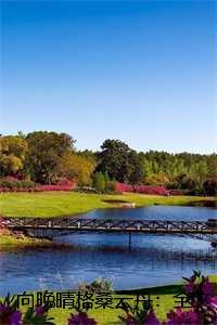 向晚晴格桑云丹：全文+后续+结局，向晚晴格桑云丹