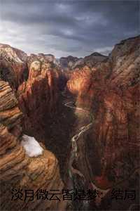 淡月微云皆是梦：结局+番外+后续，顾清黎雨棠