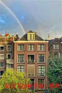 乱红飞过秋千去:结局+番外