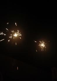 致命邂逅(又名掮客)