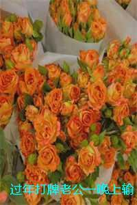 过年打牌老公一晚上输了二十万,我让他继续:全文+后续