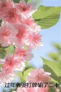 过年老婆打牌输了二十万,我让她继续未删减:结局+番外