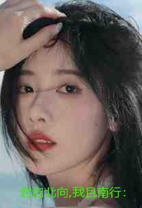 君自北向,我且南行:结局+番外