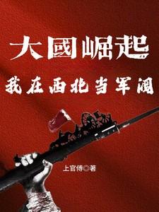 大国崛起:我在西北当军阀