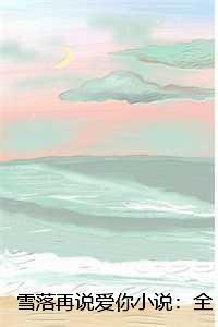 雪落再说爱你小说：全文+后续+结局