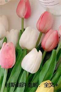 付斯越许南烟：全文+后续