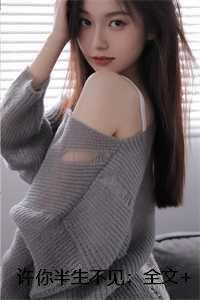 许你半生不见;沈易安顾晚：全文+后续+大结局