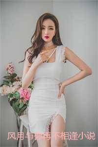 风月与你再不相逢小说：结局+番外