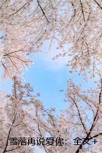 雪落再说爱你:全文+后续+结局