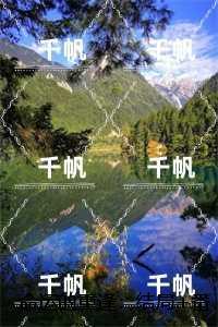 命运的重逢：结局+番外，何奕霄卢芸灵