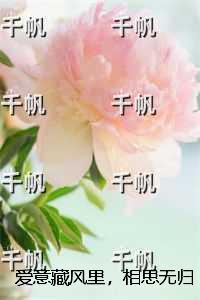 爱意藏风里，相思无归期：结局+番外