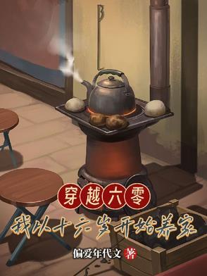 穿越六零,我从十六岁开始养家