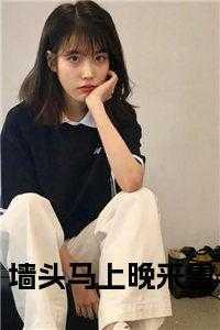 墙头马上晚来雪+后续+