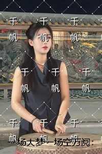 一场大梦一场空万阅：+后续