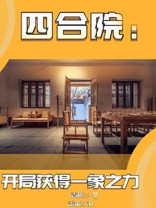 四合院：开局获得一象之力