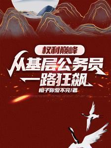 权力巅峰:从基层公务员一路狂飙